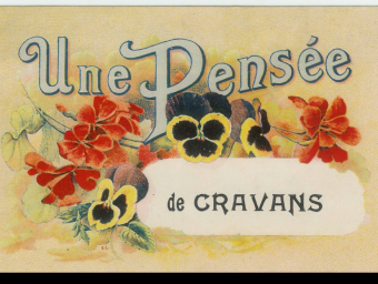 CP-pensée-de-Cravans