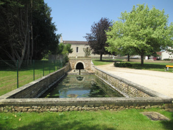 27-Bassin-Jardin-Public
