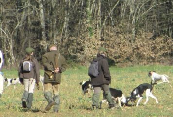 CPA Photo Chasse à Courre - Équipage Bois-Chaud Bas Berry - Étang De La Feuge - 36