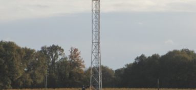 Téléphonie mobile : bientôt du réseau?