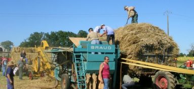 La fête des battages