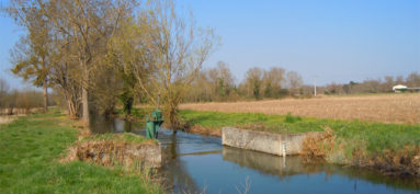 Pêcher dans la Seudre pour l’ouverture