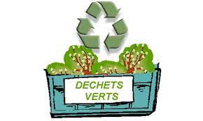 Déchets verts