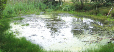 Inventaire des Mares en Poitou-Charentes