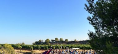 Piano dans les vignes